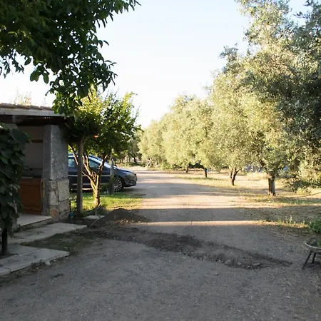 Bed & Breakfast Bed & Breakfast Fagiani *