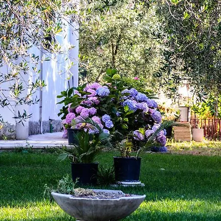 Bed & Breakfast Fagiani Bed & Breakfast *
